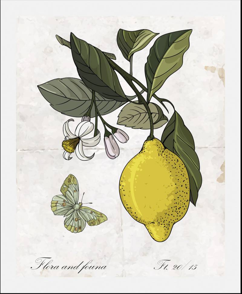 queence Bild »Enyo«, Obst-Obst Bilder-Essen-Lebensmittel-Kunst-Schriftzug-Schmetterlinge, (1 St.), HD Premium Poster-Druck inkl. Holzrahmen von queence