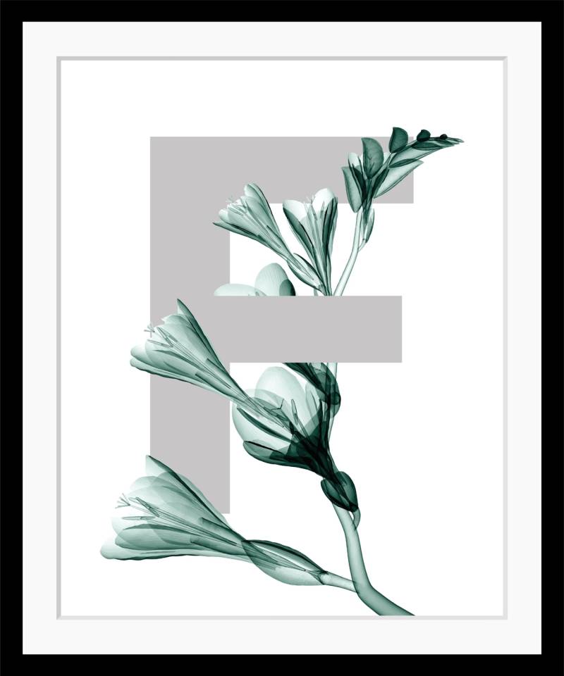 queence Bild »F-Flower«, Buchstaben, gerahmt, Blume, Blätter von queence