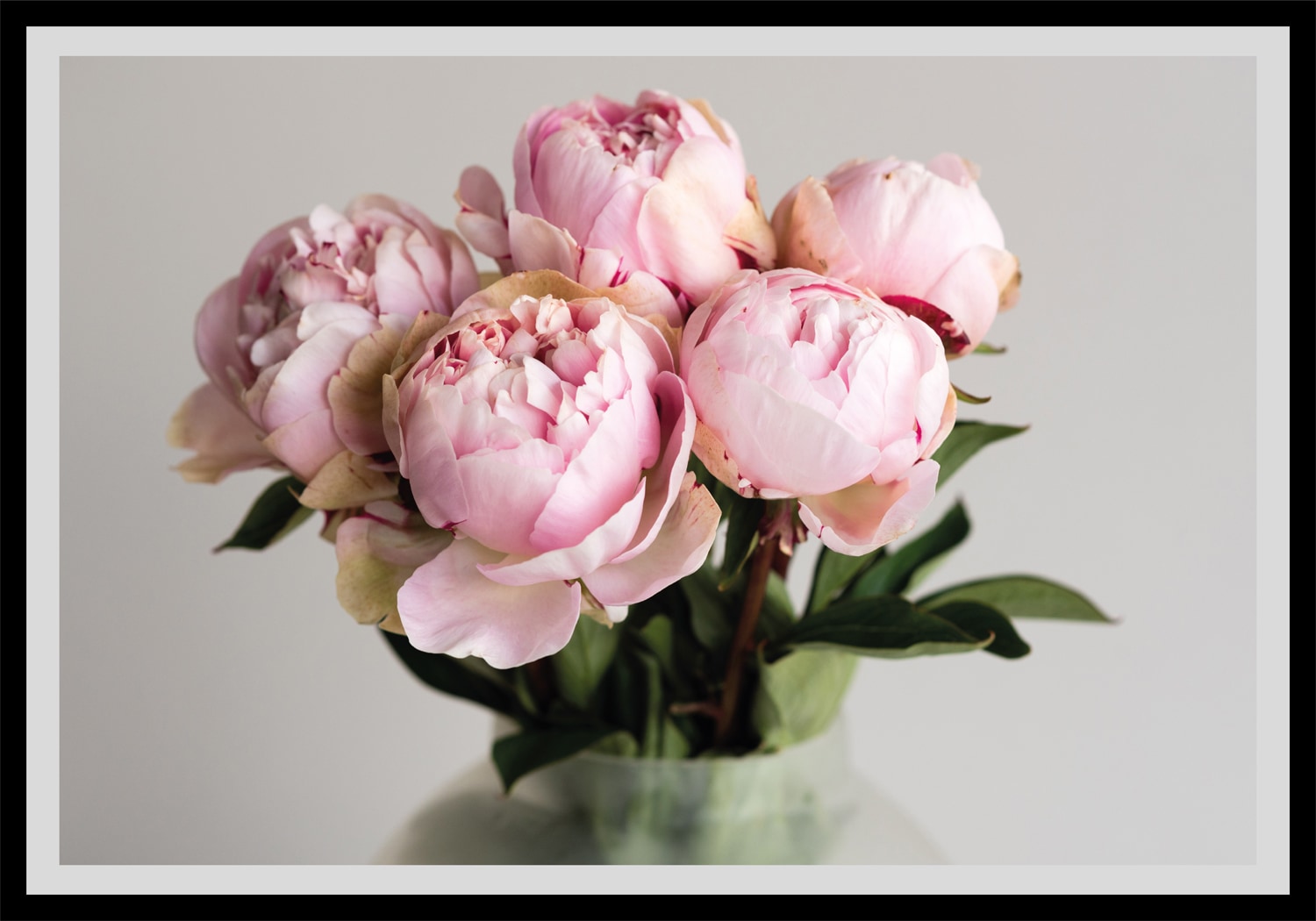 queence Bild »Gudrun«, Blumen, gerahmt, Rosen von queence