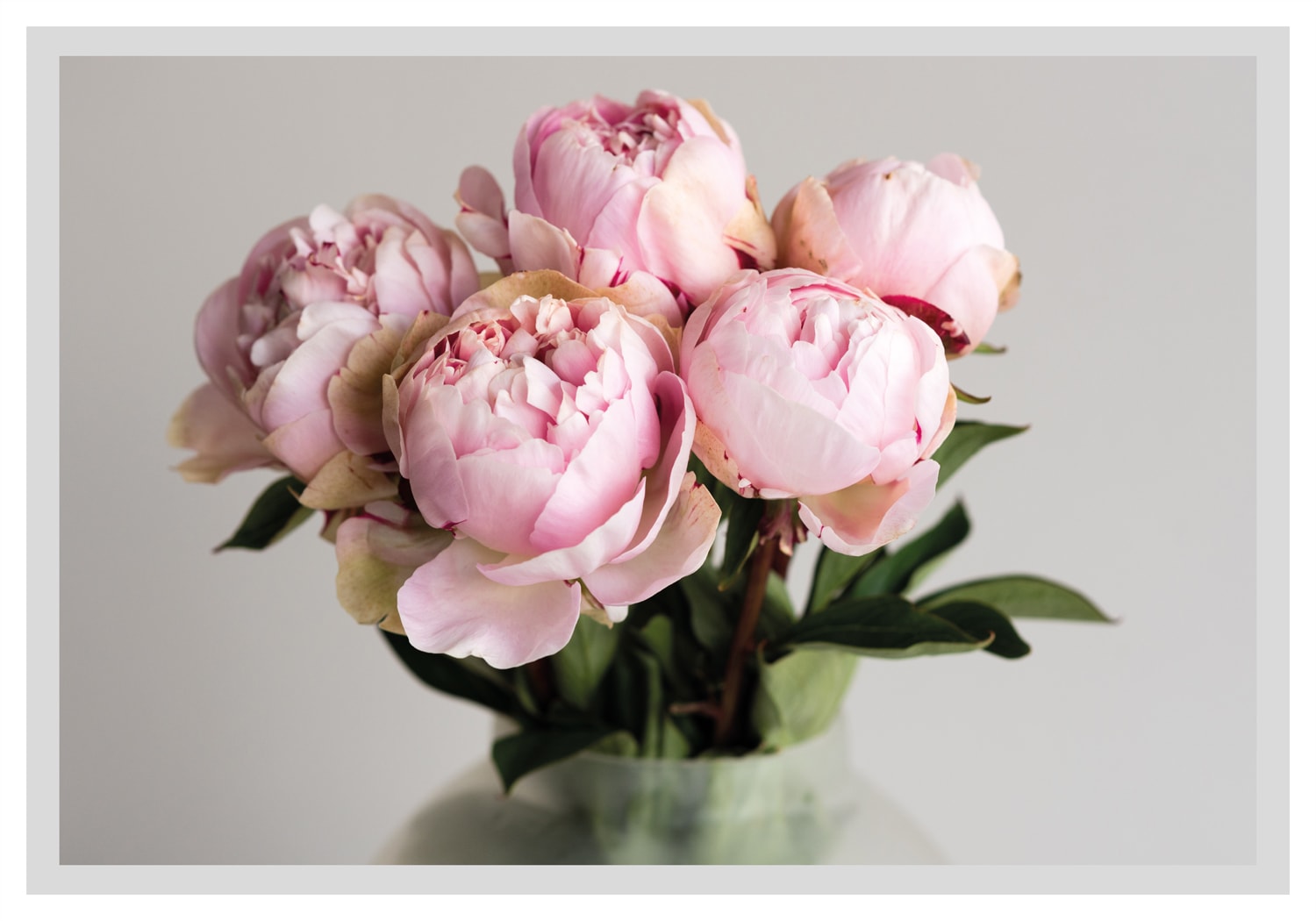 queence Bild »Gudrun«, Blumen, gerahmt, Rosen von queence