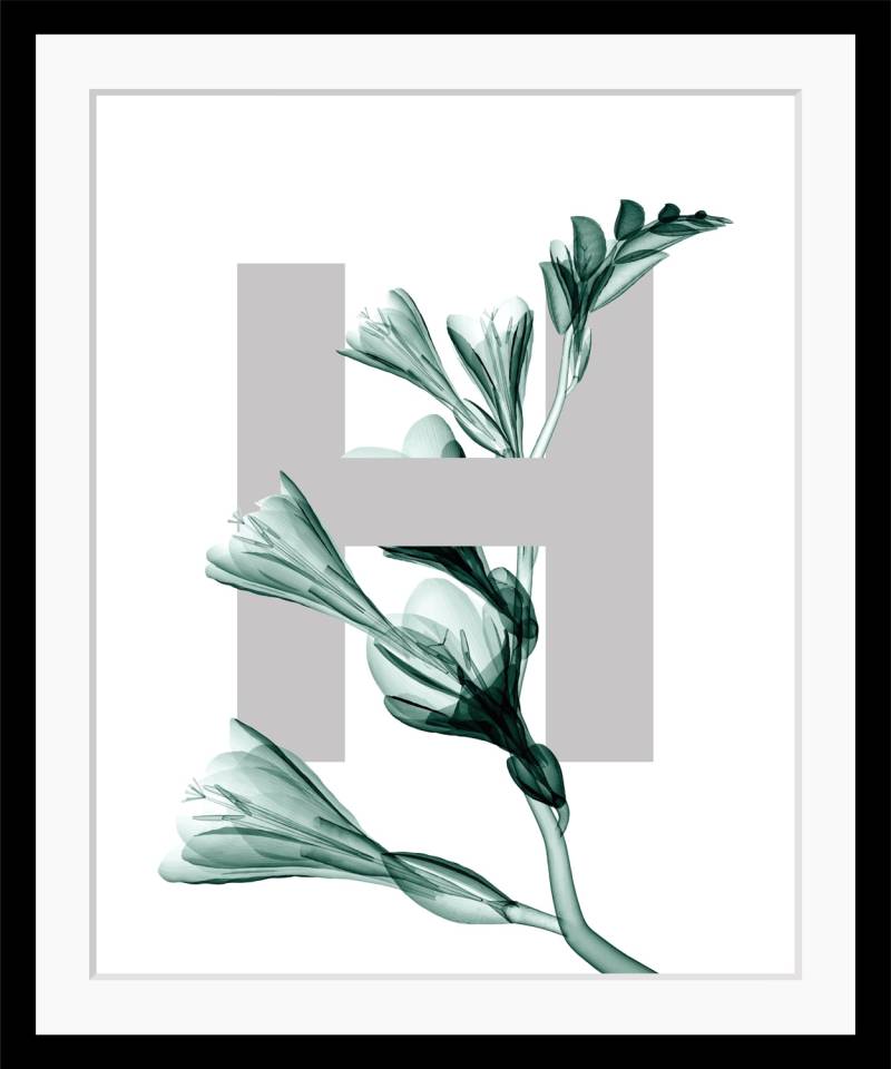 queence Bild »H-Flower«, Buchstaben, Blätter, gerahmt, Blume von queence