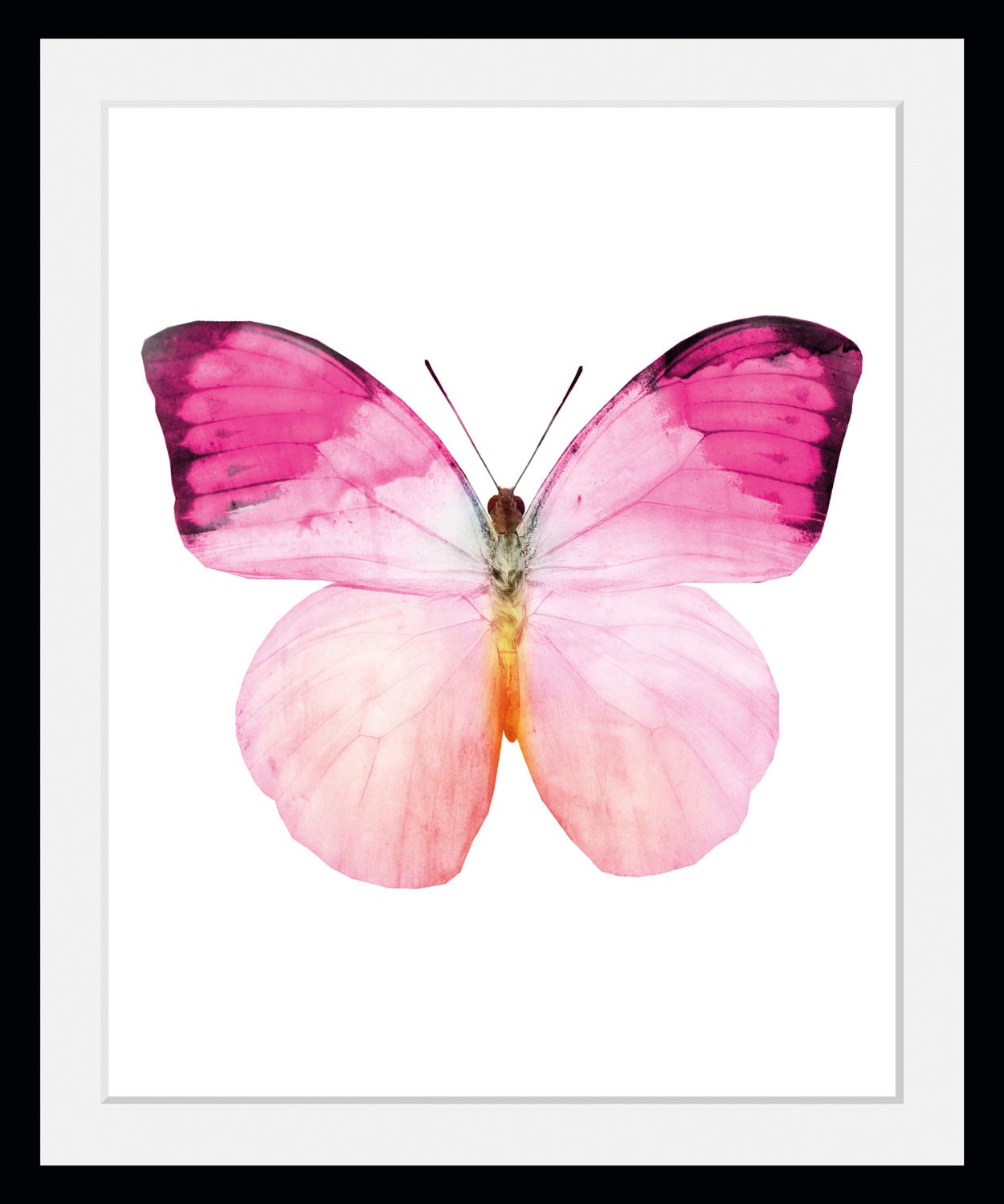 queence Bild »Jody«, Schmetterlinge, (1 St.) von queence