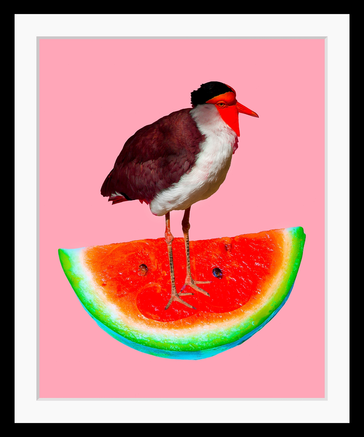 queence Bild »Josi«, Wassermelone von queence