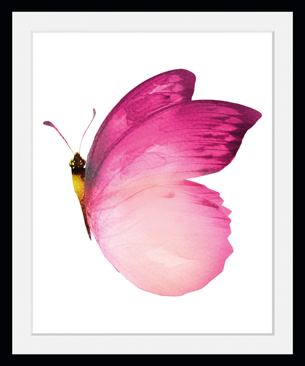queence Bild »Judy«, Schmetterlinge, (1 St.) von queence