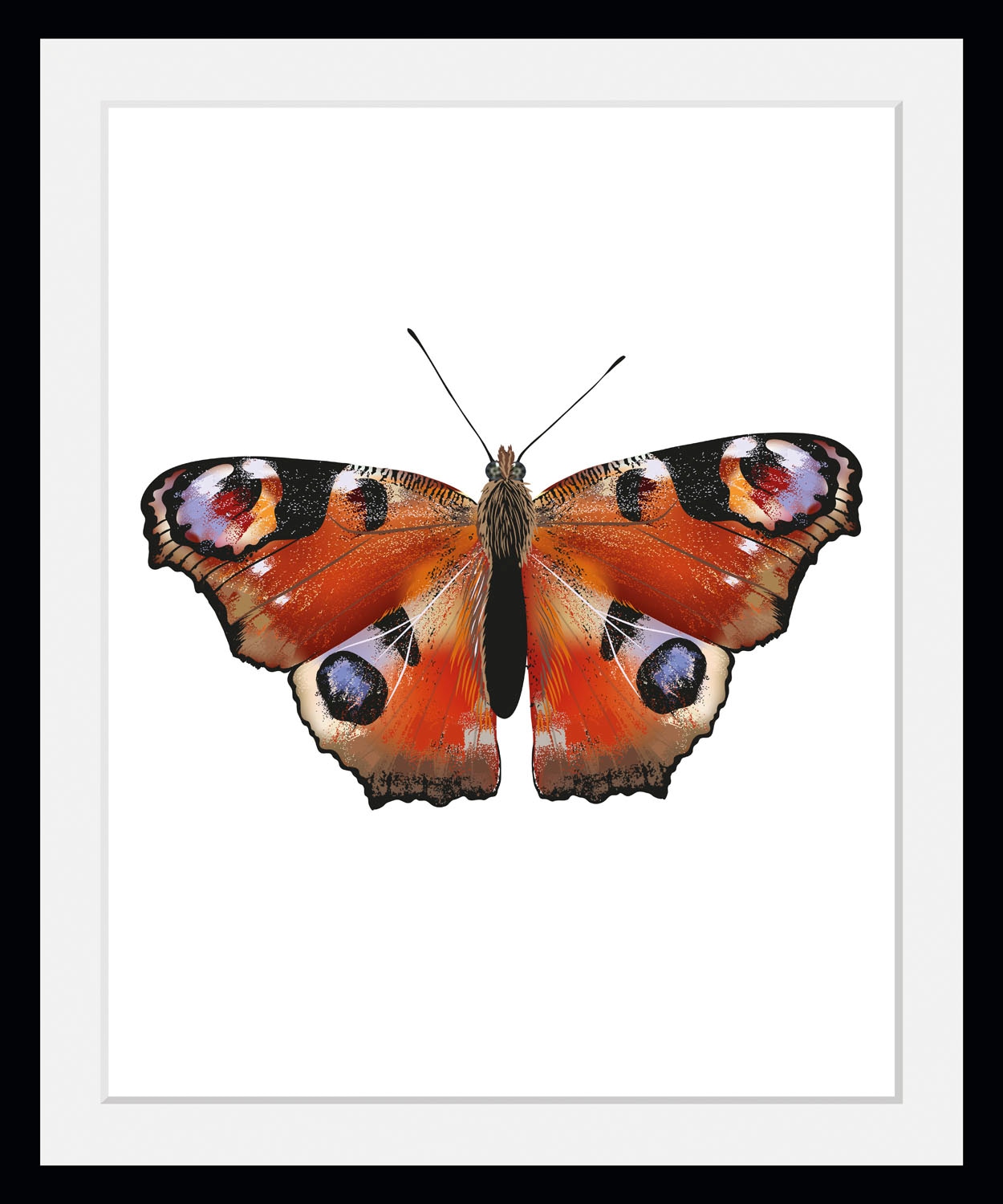queence Bild »Lena«, Schmetterlinge, (1 St.) von queence