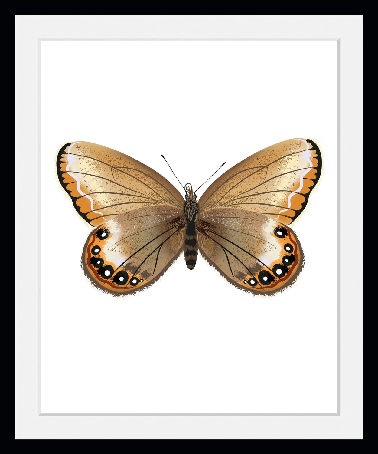 queence Bild »Lexy«, Schmetterlinge, (1 St.) von queence