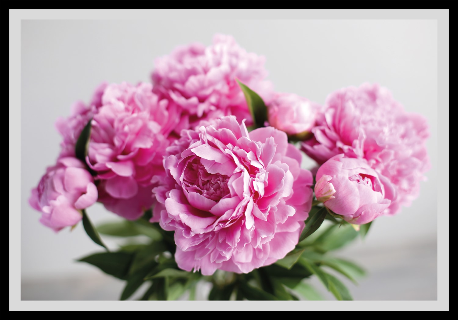 queence Bild »Linn«, Blumen, gerahmt, Rosen queence Bild »Linn«, Blumen, gerahmt, Rosen von queence