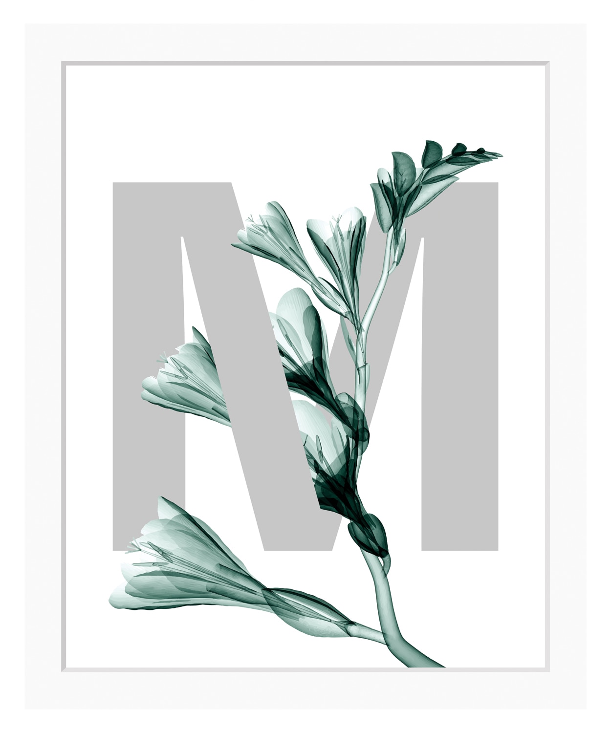 queence Bild »M-Flower«, Buchstaben, Blume, gerahmt, Blätter von queence