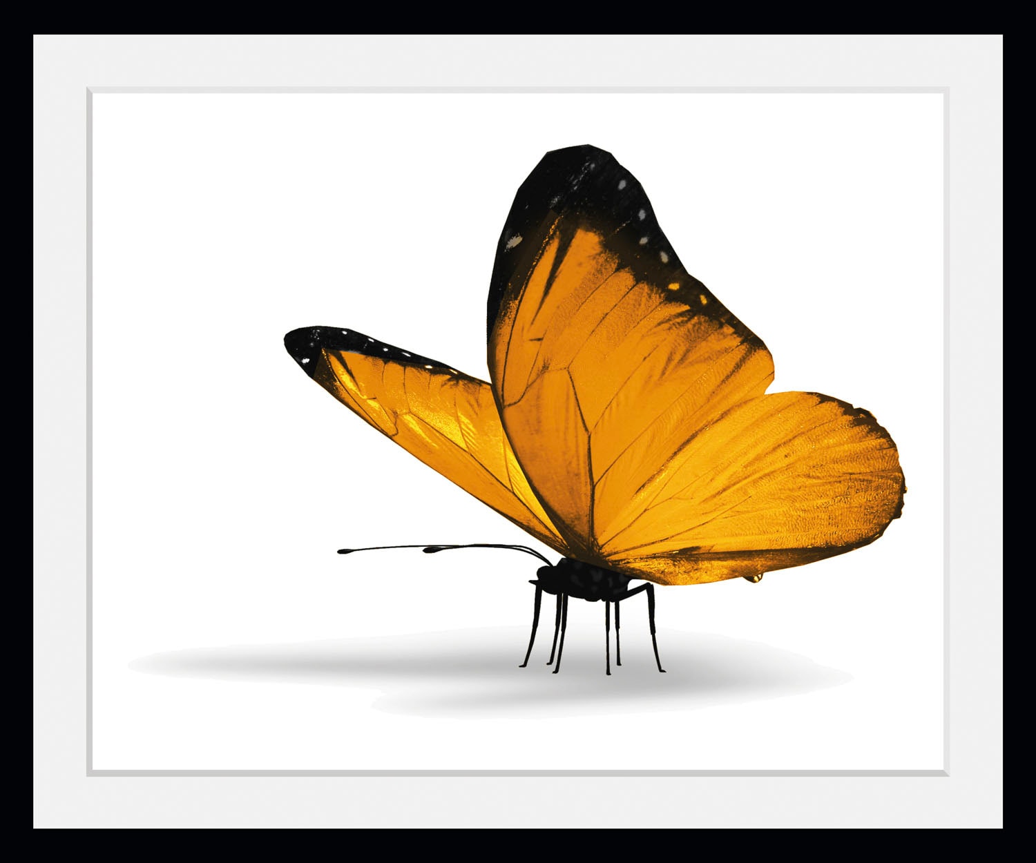 queence Bild »Maria 1.0«, Schmetterlinge, (1 St.) von queence