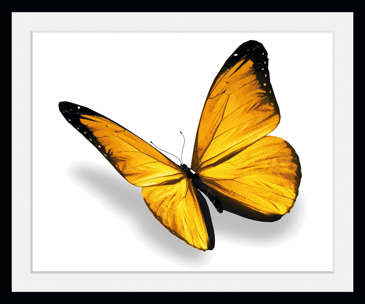 queence Bild »Maria 3.0«, Schmetterlinge, (1 St.) von queence