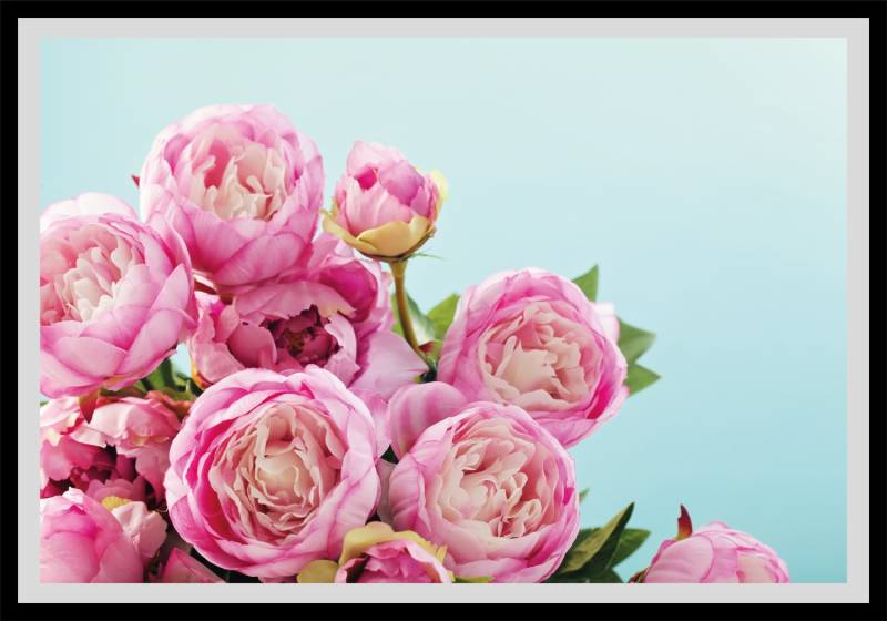 queence Bild »Marisa«, Blumen, gerahmt, Rosen von queence