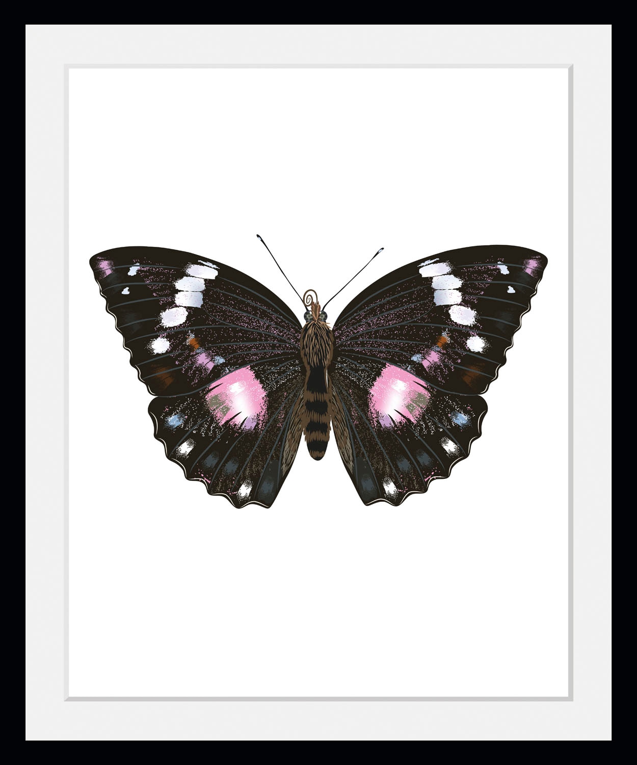 queence Bild »Marissa«, Schmetterlinge-Kunst-Insekten-historische Ereignisse, (1 St.), HD Premium Poster-Druck inkl. Holzrahmen queence Bild »Marissa«, Schmetterlinge-Kunst-Insekten-historische Ereignisse, (1 St.), HD Premium Poster-Druck inkl. Holzrahmen von queence