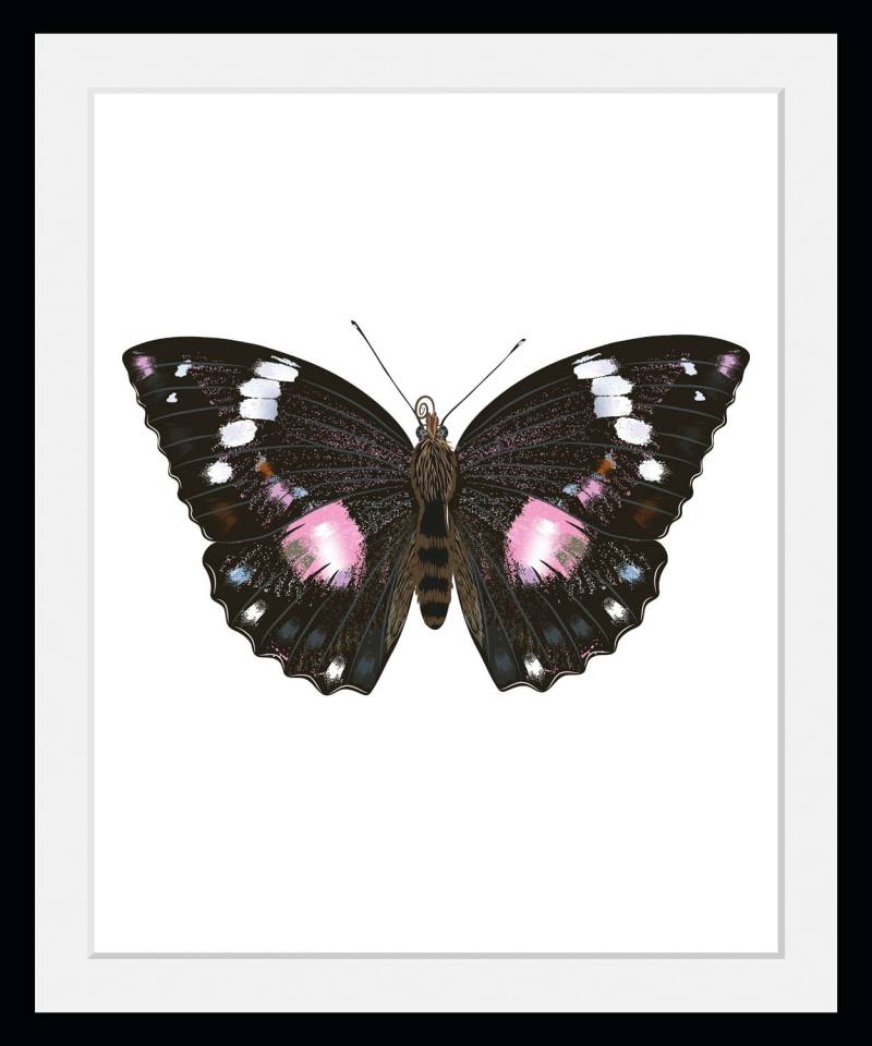 queence Bild »Marissa«, Schmetterlinge, (1 St.) von queence