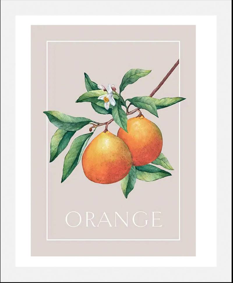 queence Bild »Orange«, (1 St.) von queence