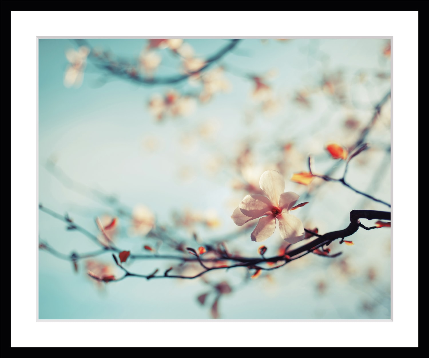 queence Bild »Roxy«, Blumen, gerahmt, Rosen queence Bild »Roxy«, Blumen, gerahmt, Rosen von queence