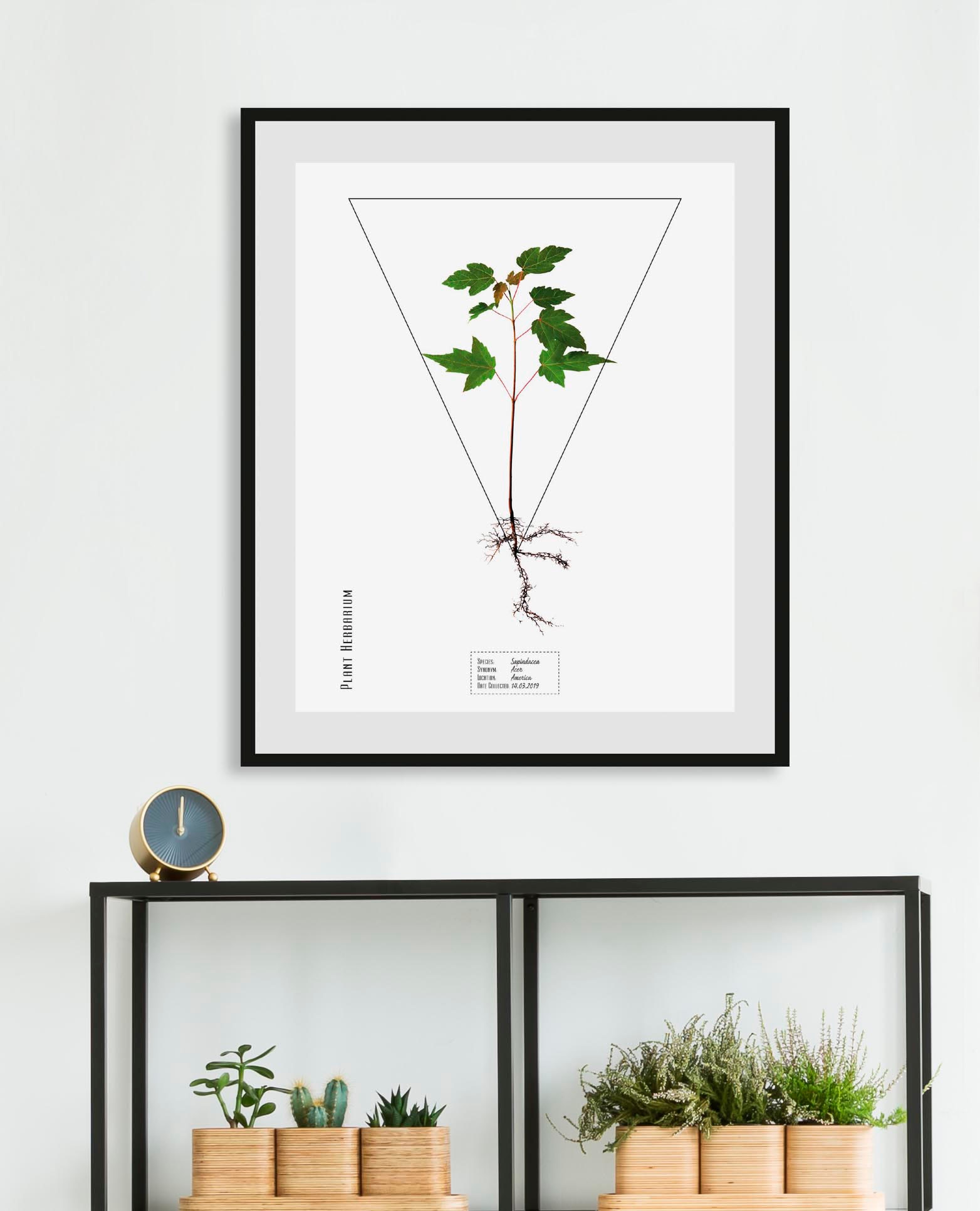 queence Bild »Kräuter«, Pflanzen-Pflanzenbilder-Schriftzug, (1 St.), HD Premium Poster-Druck inkl. Holzrahmen von queence
