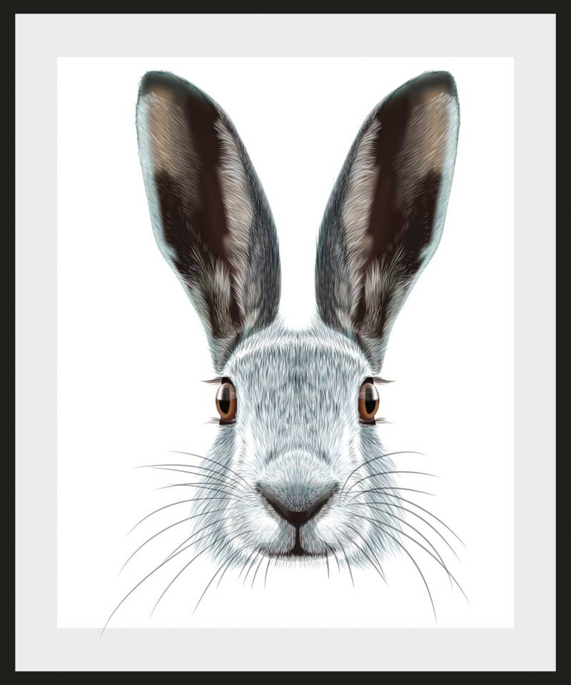 queence Bild »Selma«, Hase-Hasen-Schwarz-Weiss-Kunst-Haustiere, (1 St.), HD Premium Poster-Druck inkl. Holzrahmen von queence