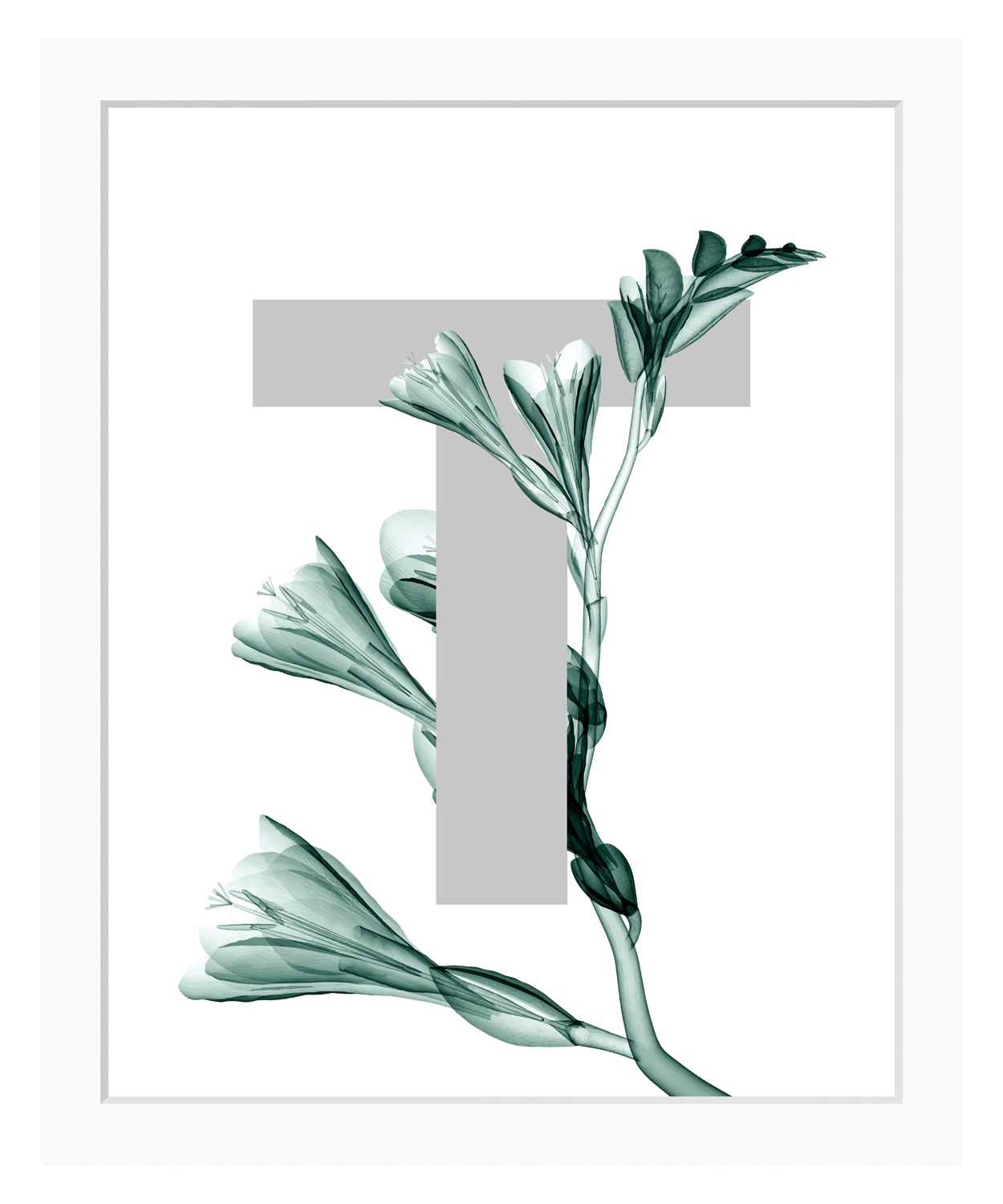 queence Bild »T-Flower«, Buchstaben, gerahmt, Blume, Blätter von queence