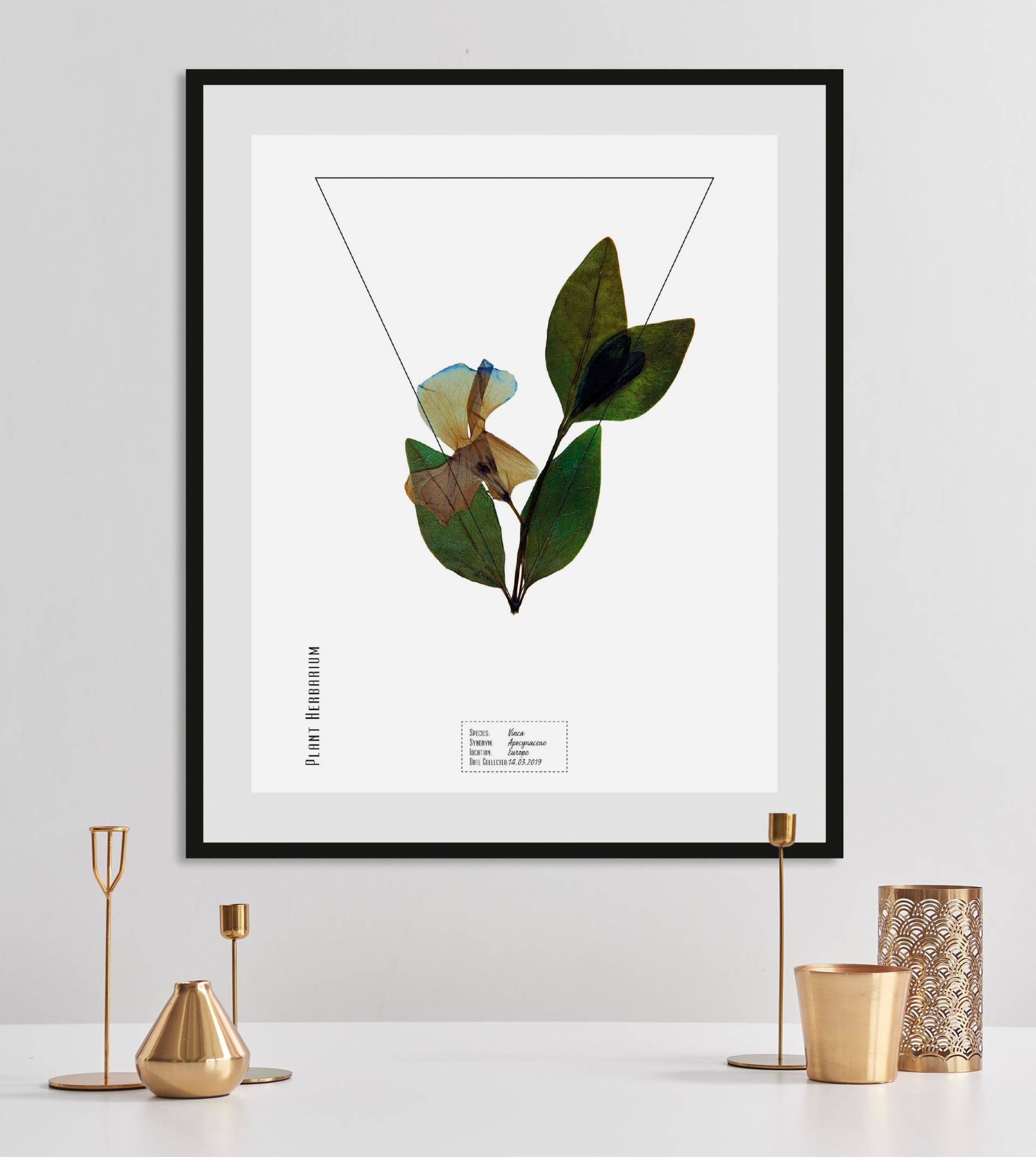 queence Bild »Kräuter«, Pflanzen-Pflanzenbilder-Schriftzug, (1 St.), HD Premium Poster-Druck inkl. Holzrahmen queence Bild »Kräuter«, Pflanzen-Pflanzenbilder-Schriftzug, (1 St.), HD Premium Poster-Druck inkl. Holzrahmen von queence