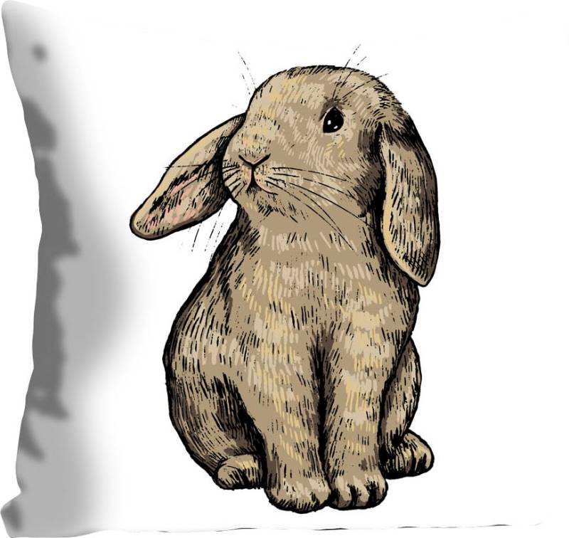 queence Dekokissen »Eilert«, Kissenhülle,Hase,Sitzend,Süss,Natur,Tiermotiv,Entspannt,Frühling von queence