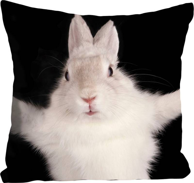 queence Dekokissen »Hugging Bunny«, Kissenhülle,Hase,Süss,Umarmen,Niedlich,Kuschelig,Fröhlich,Tiermotiv von queence