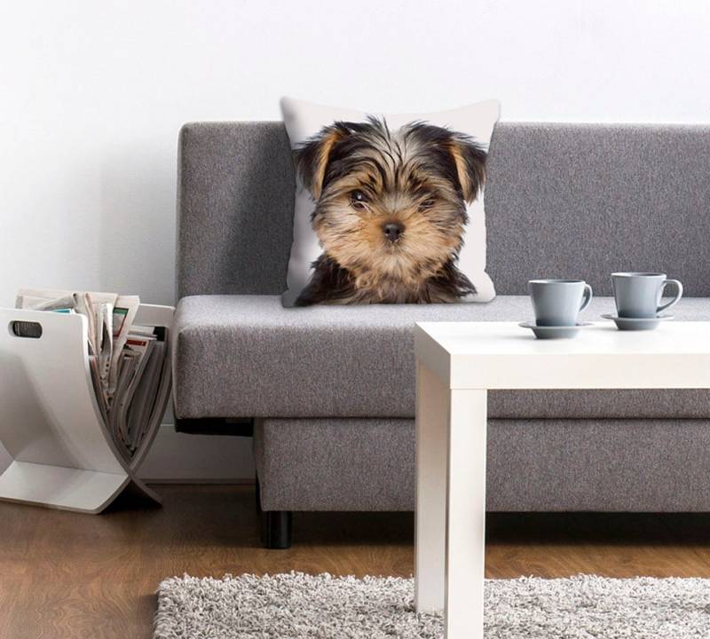 queence Dekokissen »Ines«, Kissenhülle,Hund,Süss,Tiermotiv,Niedlich,Verspielt,Zart,Fröhlich von queence