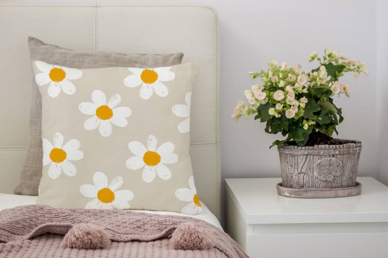 queence Dekokissen »Levke«, Kissenhülle,Gänseblümchen,Blumen,Florales Design,Naturmotiv,Zart von queence