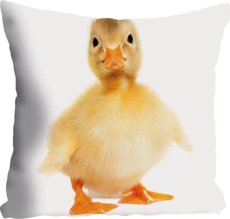 queence Dekokissen »Manuel«, Kissenhülle,Ente,Tiermotiv,Niedlich,Haustier,Verspielt,Zart von queence