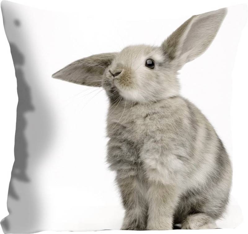 queence Dekokissen »Marwin«, Kissenhülle,grauer Hase,Süss,Ostern,Tierisch,Frühling,Verspielt von queence