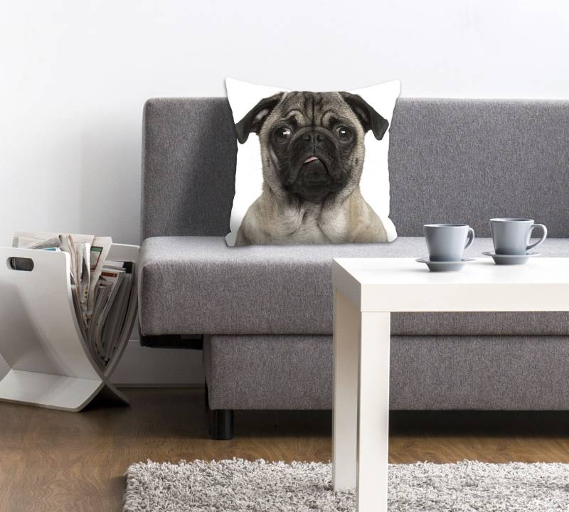 queence Dekokissen »Mops«, Kissenhülle,Mops,Weiss,Niedlich,Haustier,Hund,Lustig,Freundlich,Süss von queence