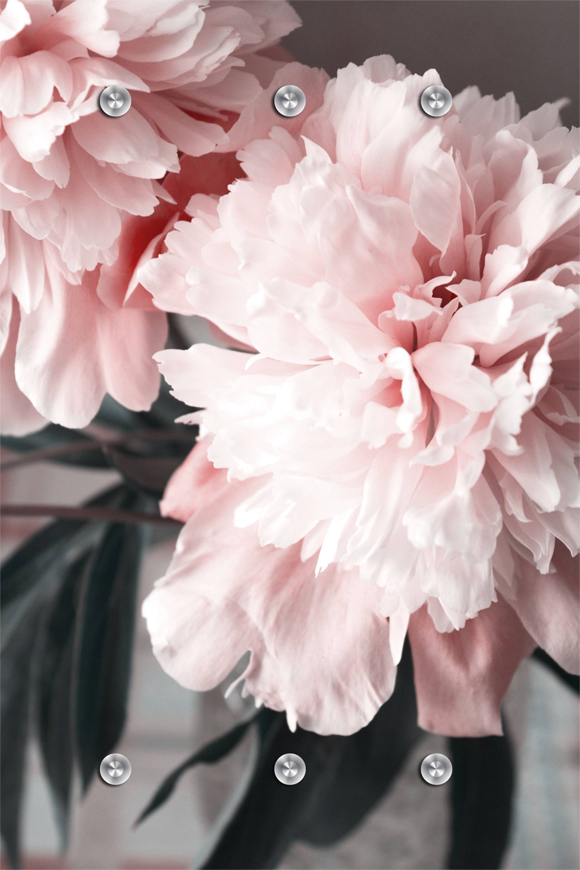 queence Garderobenleiste »Blume« von queence