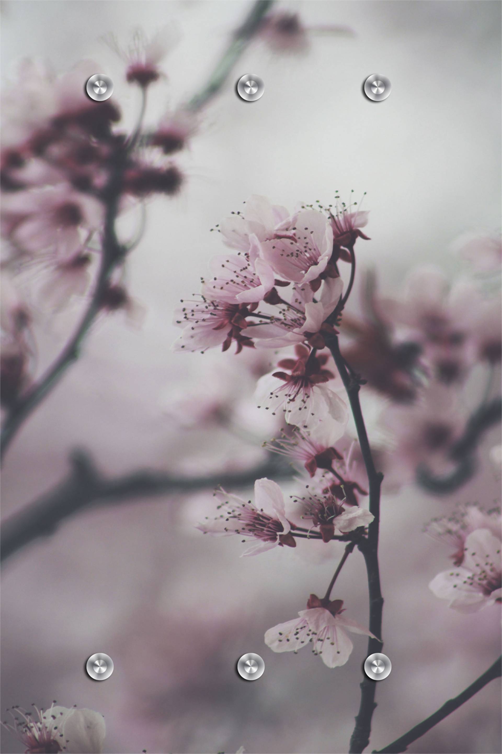 queence Garderobenleiste »Blumen«, mit 6 Haken, 80 x 120 cm queence Garderobenleiste »Blumen«, mit 6 Haken, 80 x 120 cm von queence