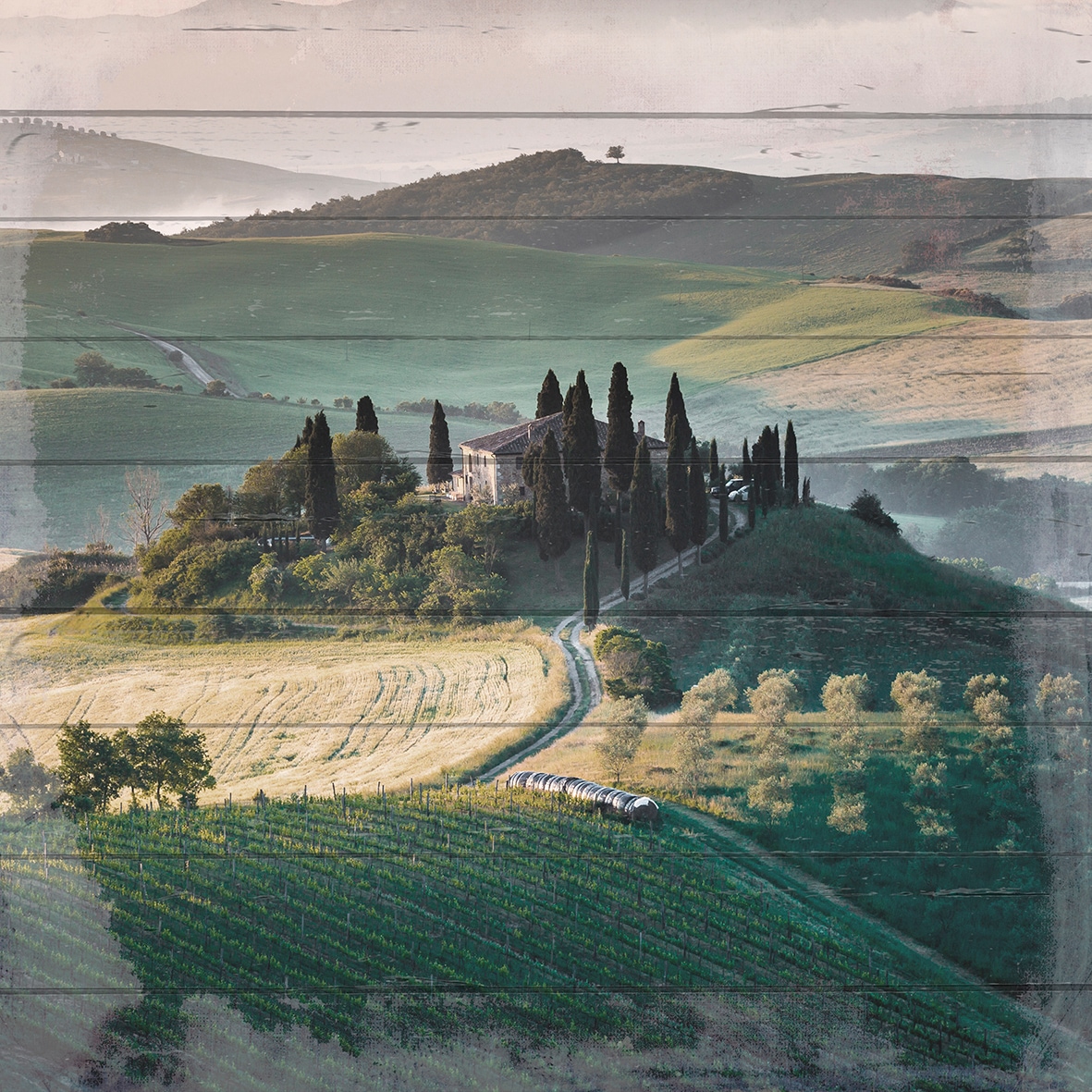 queence Holzbild »Weinberge in der Toscana« von queence