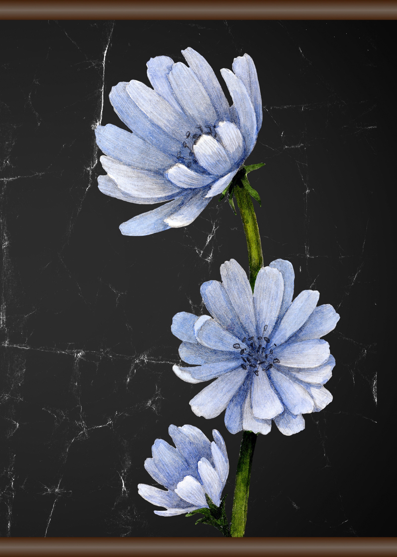 queence Leinwandbild »Blaue Blüte« von queence