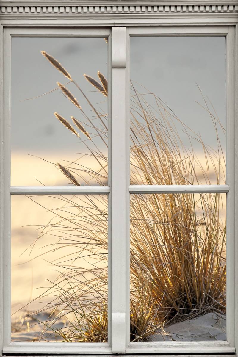 queence Leinwandbild »Düne«, Düne-Gräser-Natur-Fensterblick, (1 St.), Premium-Leinwandstoff, Handarbeit aus Deutschland von queence