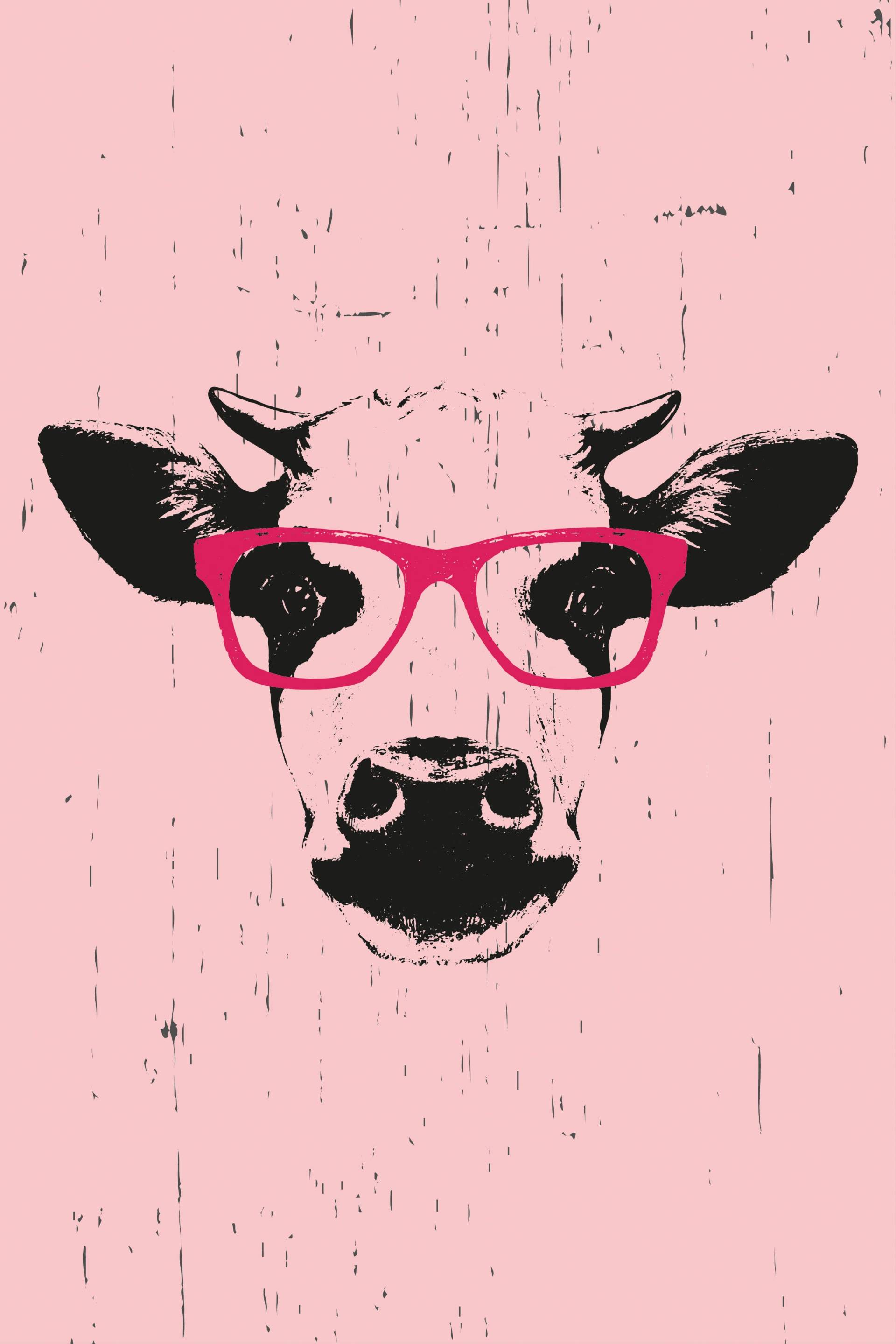 queence Leinwandbild »Kuh mit Brille« von queence