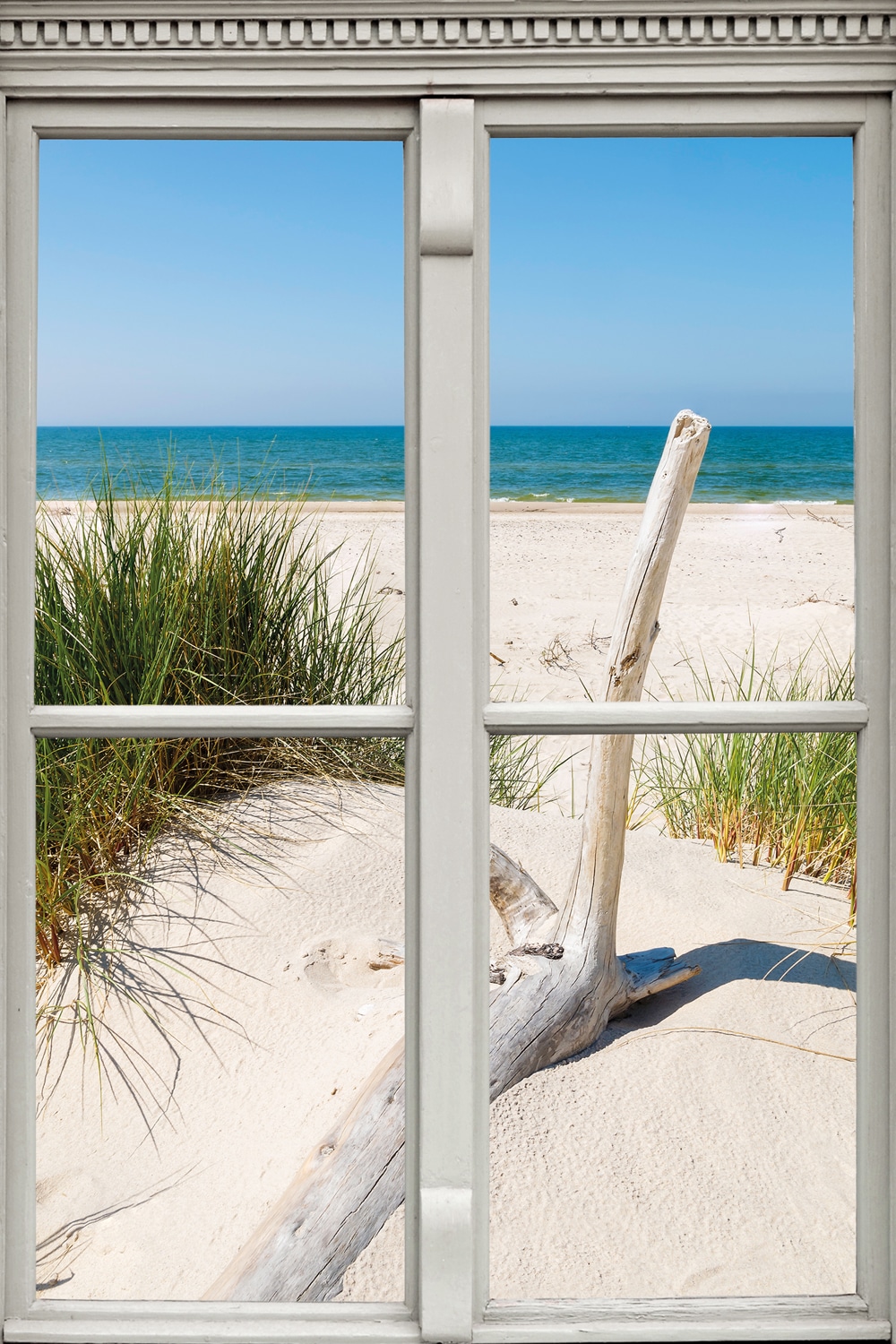 queence Leinwandbild »Langeoog«, Düne-Gräser-Natur-Meer, (1 St.) von queence