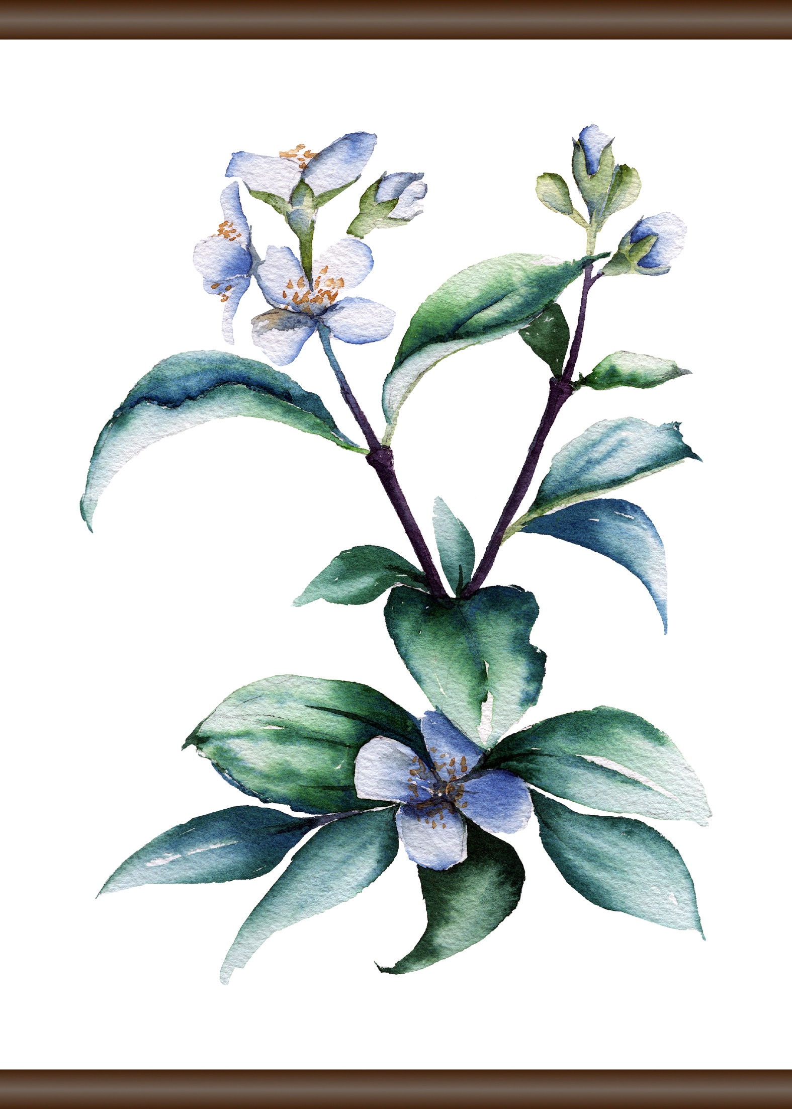 queence Leinwandbild »Lila Pflanze« von queence