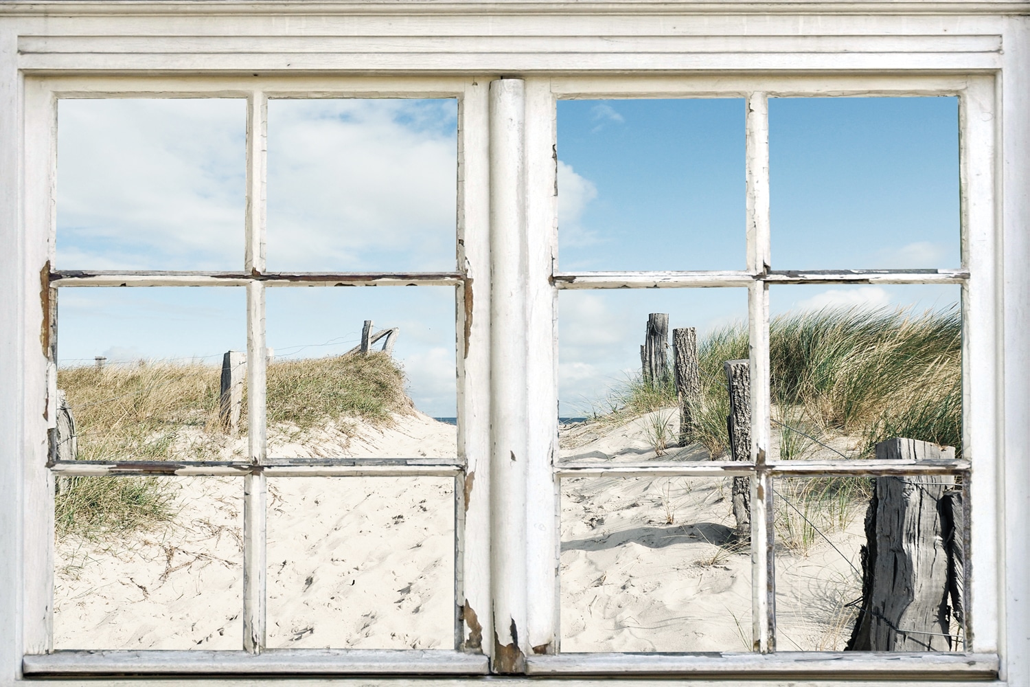 queence Leinwandbild »Norderney«, Düne-Gräser-Natur, (1 St.) von queence