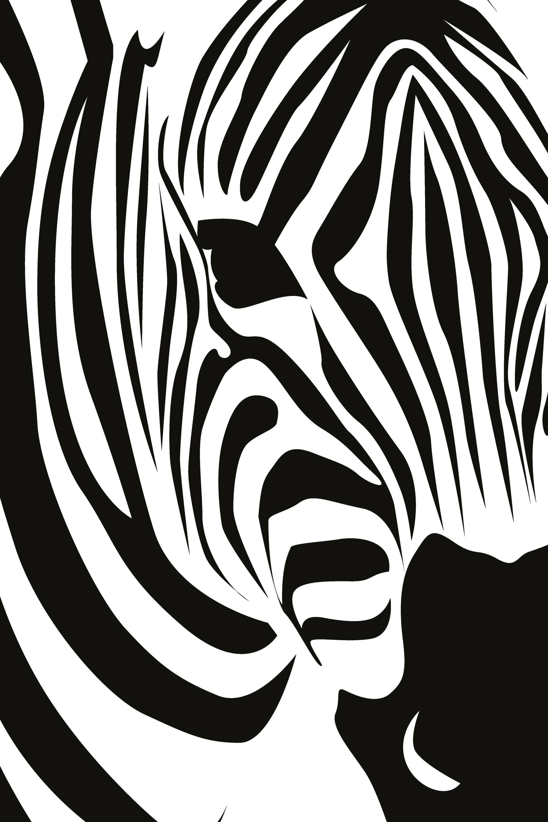 queence Metallbild »Zebra«, Zebras-Schwarz-Weiss-Tiere, (1 St.), Stahlschild, Blechschild, Zebra von queence