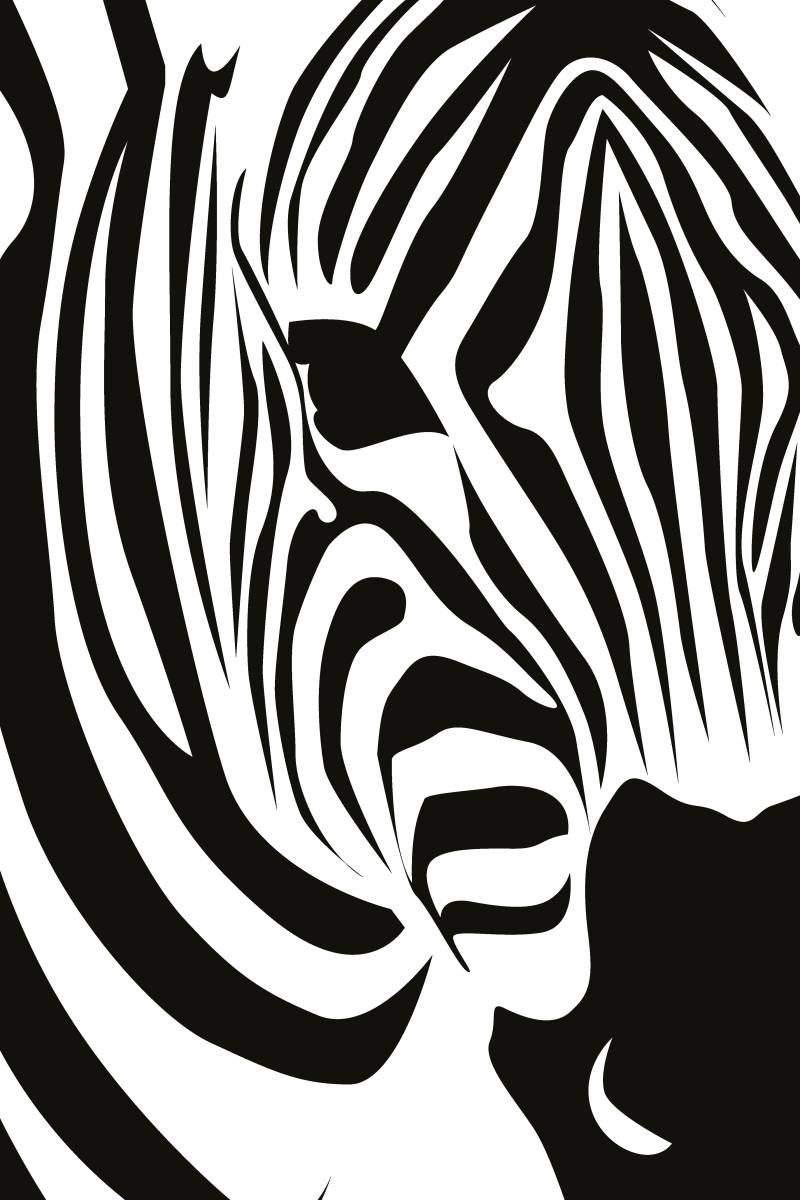 queence Metallbild »Zebra«, Zebras-Schwarz-Weiss-Tiere, (1 St.), Stahlschild, Blechschild, Zebra von queence