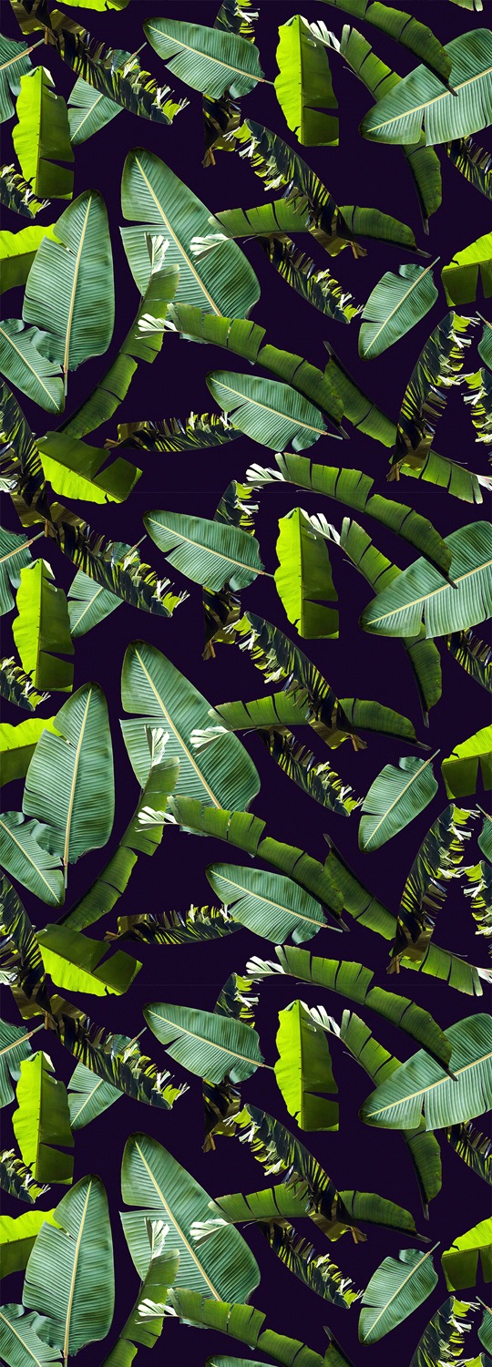 queence Vinyltapete »Tropische Blätter-Grün«, bedruckt-Motiv-botanisch-floral-gemustert-natürlich, 90x250cm, selbstklebend, kinderleichte Anbringung, Sticker von queence