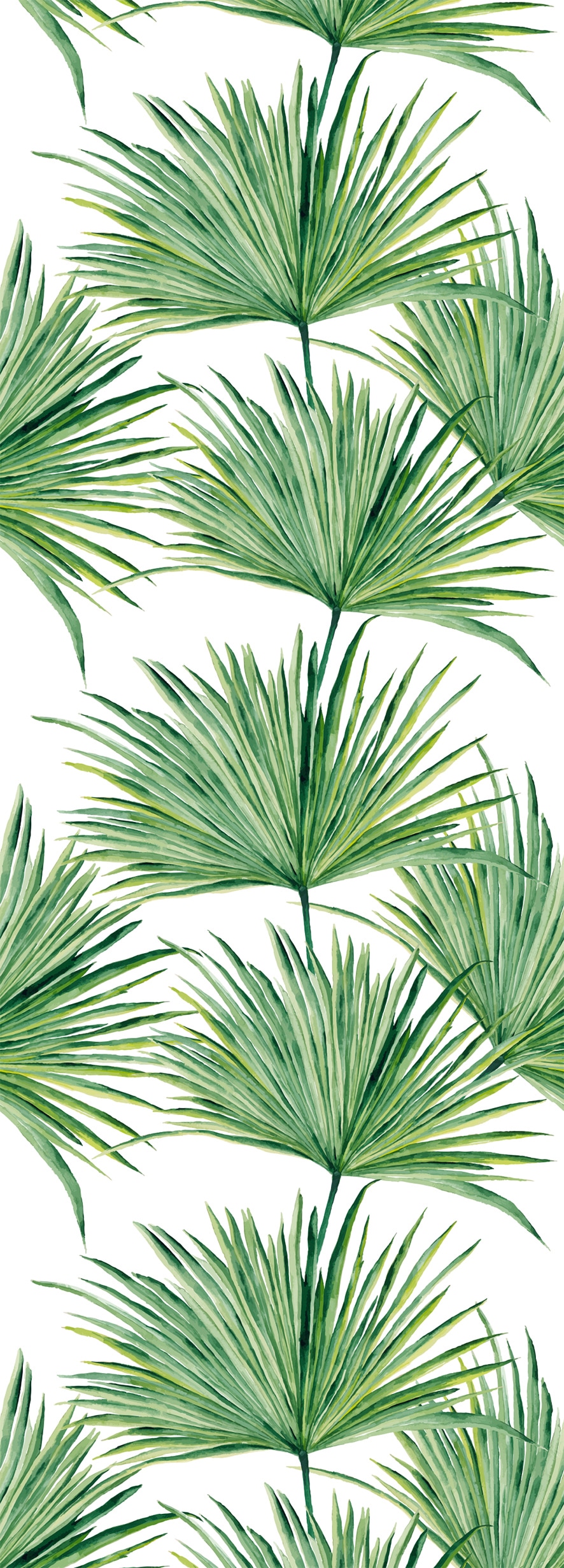 queence Vinyltapete »Tropische Blätter-Grün«, 90 x 250 cm, selbstklebend von queence