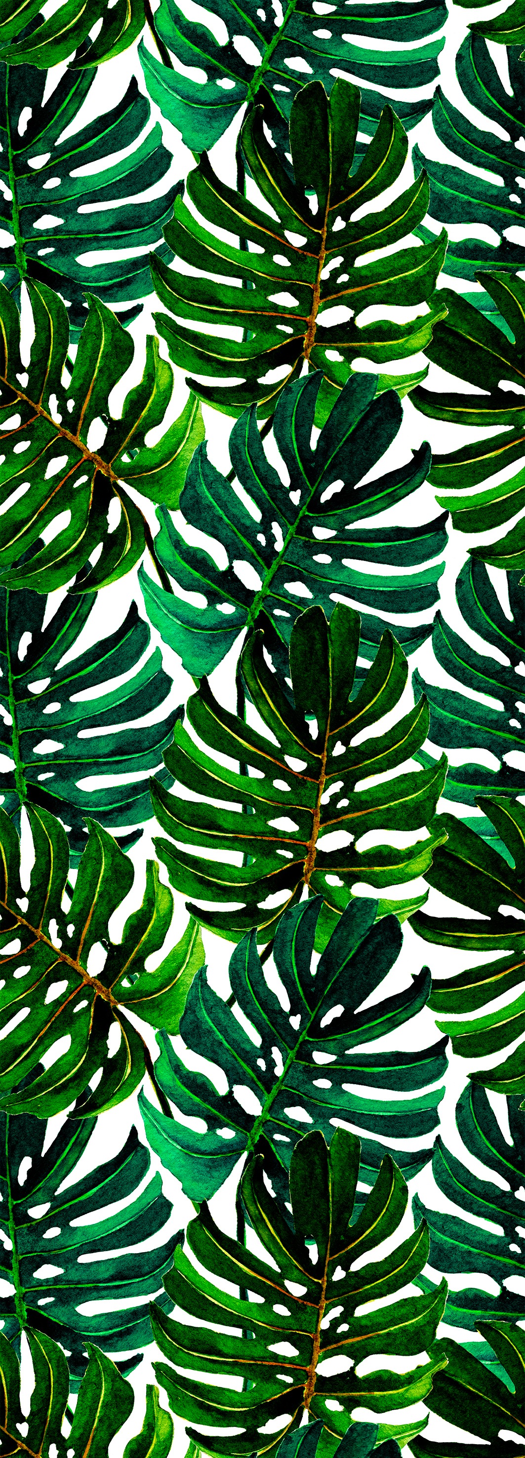 queence Vinyltapete »Tropische Blätter-Grün«, bedruckt-Motiv-botanisch-floral-gemustert-natürlich, 90x250cm, selbstklebend, kinderleichte Anbringung, Sticker von queence