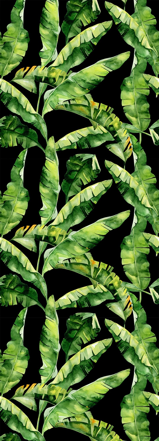 queence Vinyltapete »Tropische Blätter-Grün«, bedruckt-Motiv-botanisch-floral-gemustert-natürlich, 90x250cm, selbstklebend, kinderleichte Anbringung, Sticker von queence
