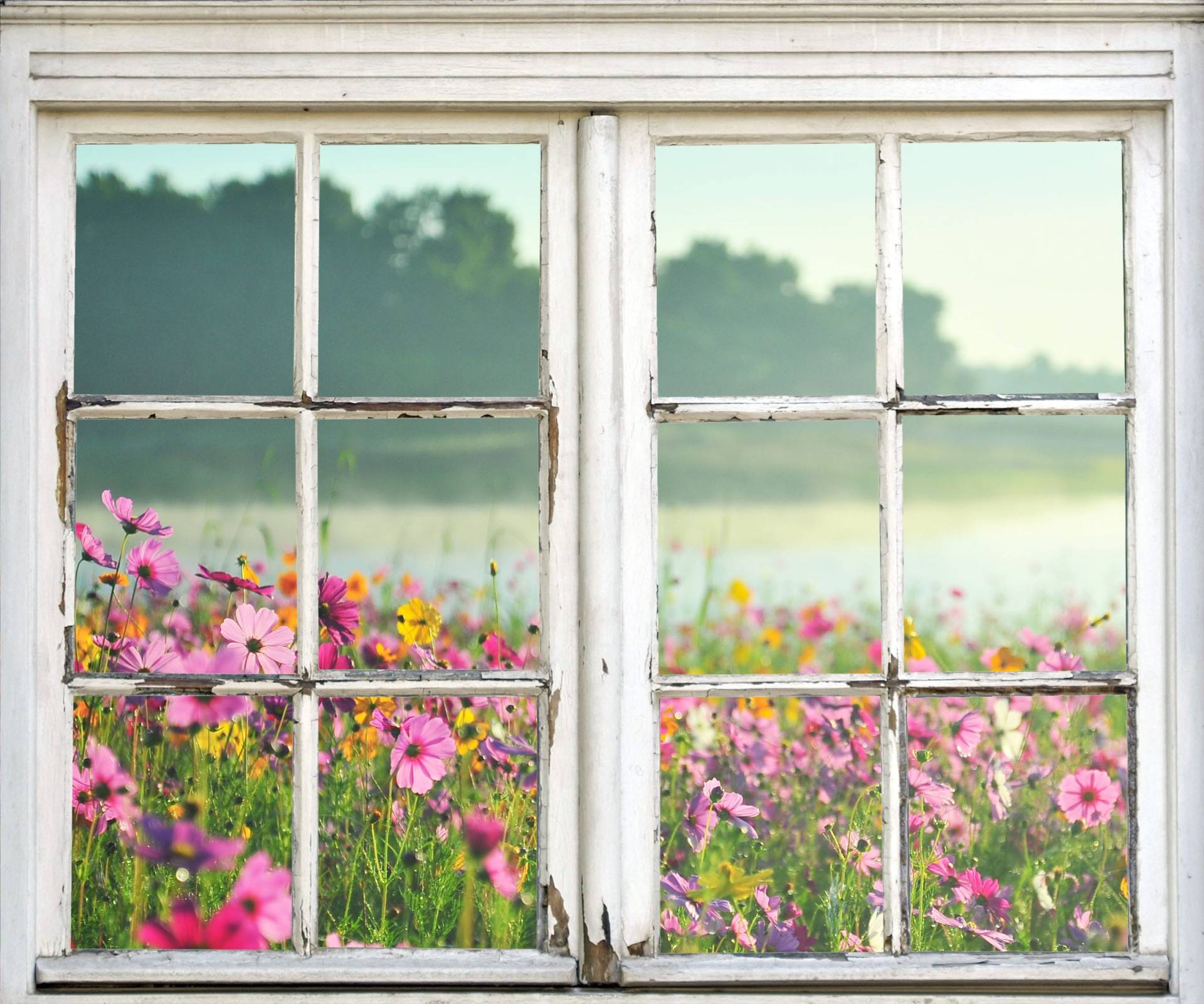 queence Wandsticker »Blumenwiese«, Wandsticker, Wandbild, selbstklebend, 3D, Fenster queence Wandsticker »Blumenwiese«, Wandsticker, Wandbild, selbstklebend, 3D, Fenster von queence