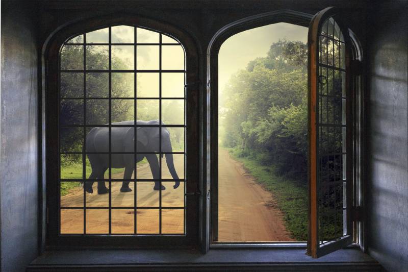 queence Wandsticker »Elefant«, Wandsticker, Wandbild, selbstklebend, 3D, Fenster von queence