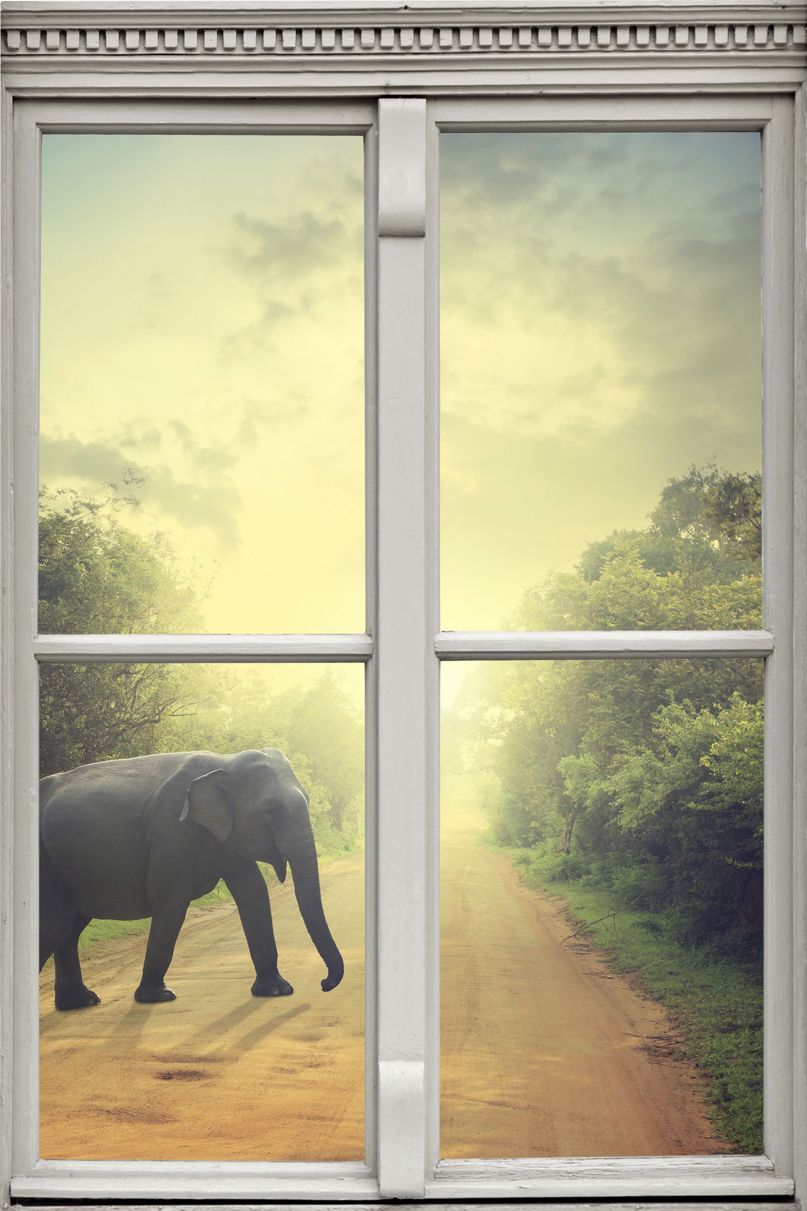 queence Wandsticker »Elefant«, Wandsticker, Wandbild, selbstklebend, 3D, Fenster queence Wandsticker »Elefant«, Wandsticker, Wandbild, selbstklebend, 3D, Fenster von queence