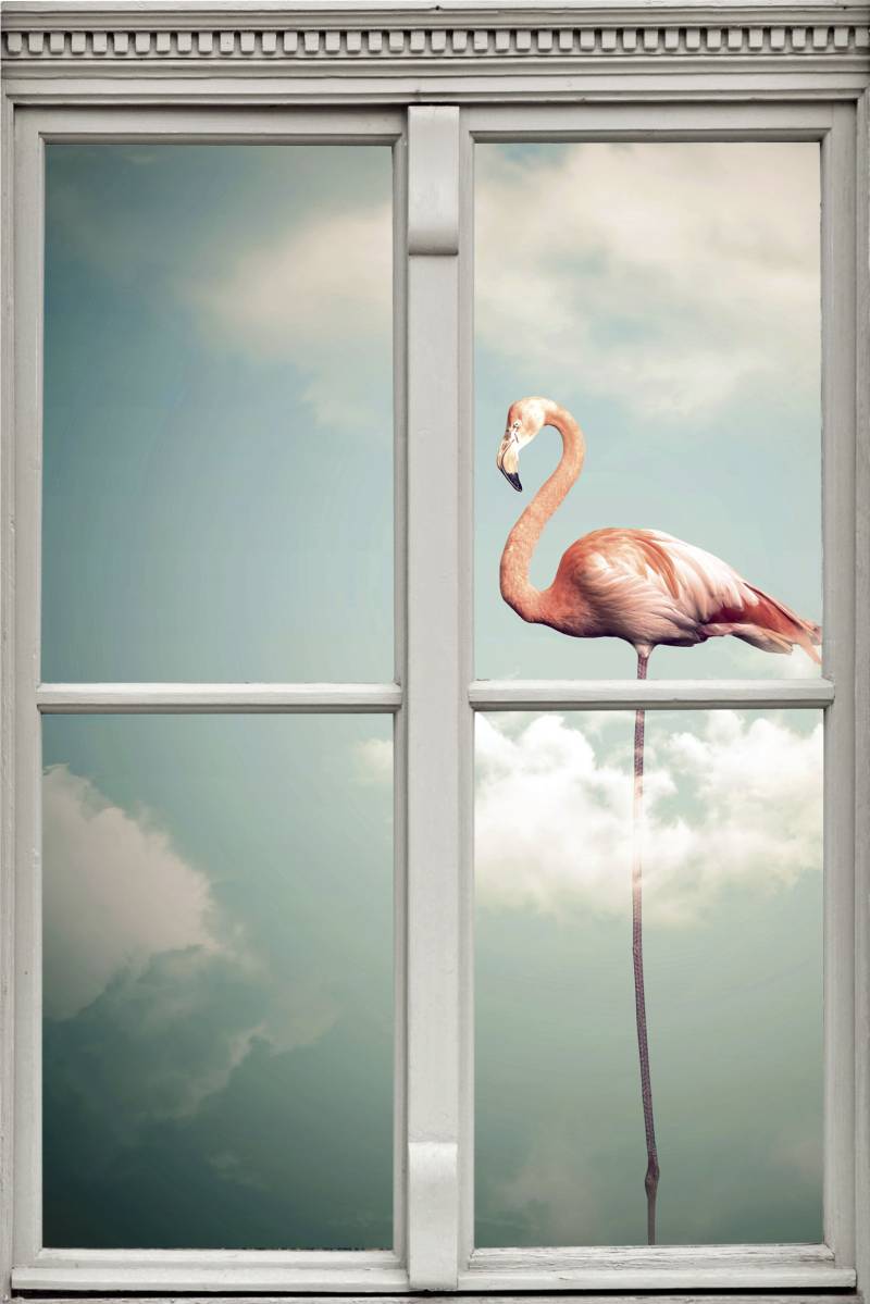 queence Wandsticker »Flamingo« von queence