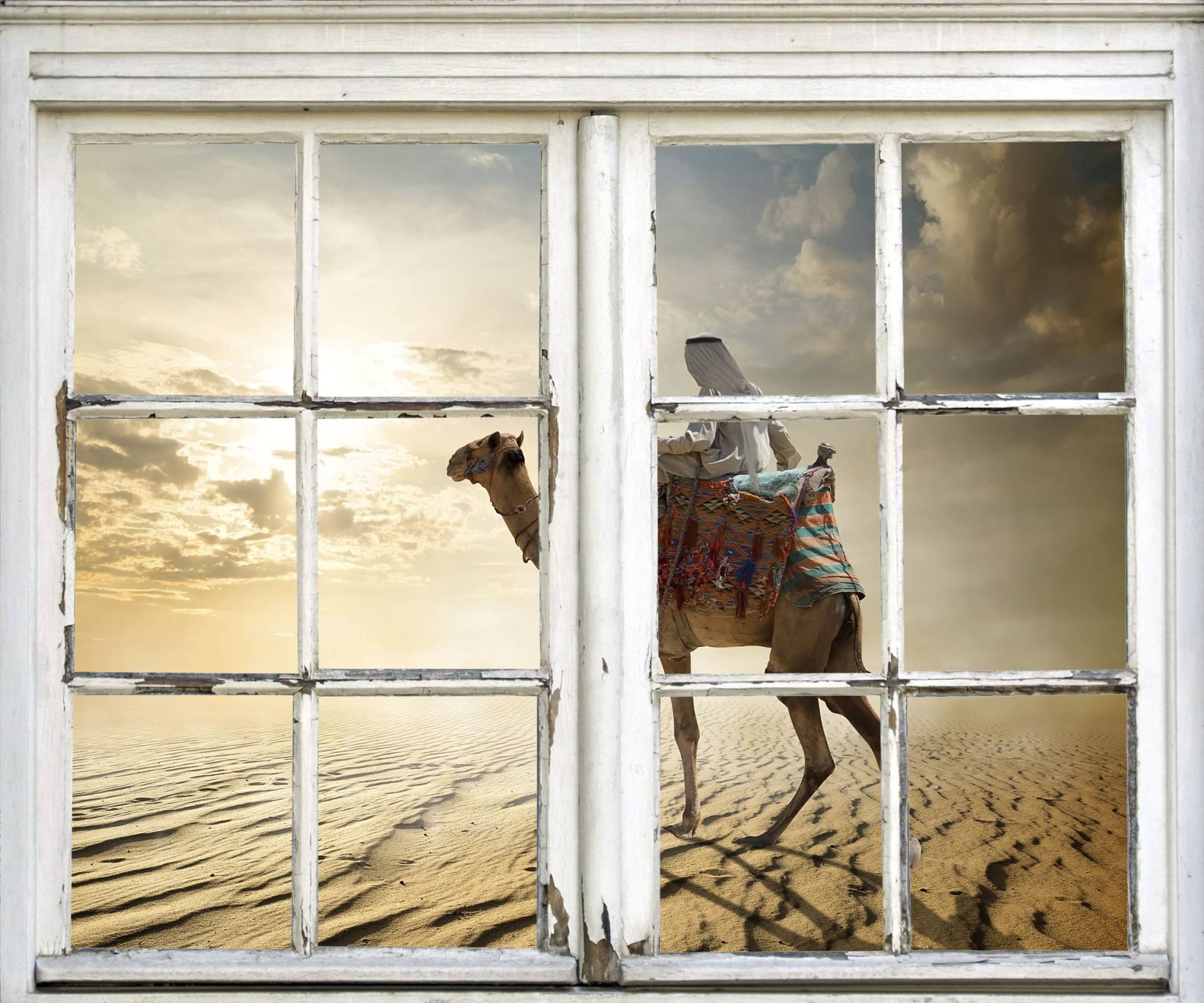 queence Wandsticker »Kamel in Wüste«, Wandsticker, Wandbild, selbstklebend, 3D, Fenster queence Wandsticker »Kamel in Wüste«, Wandsticker, Wandbild, selbstklebend, 3D, Fenster von queence